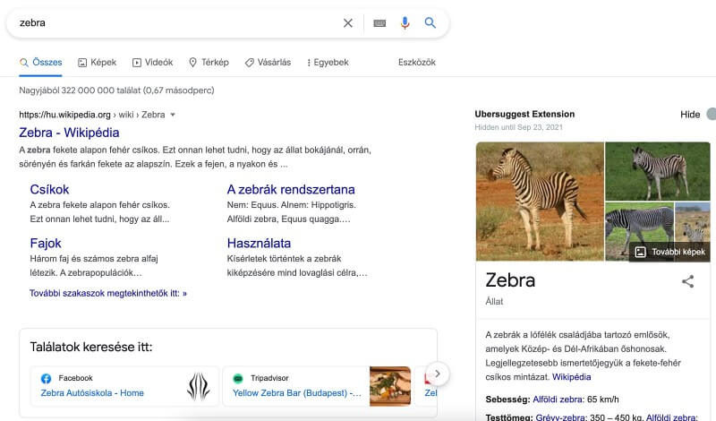 zebra keresési szándék